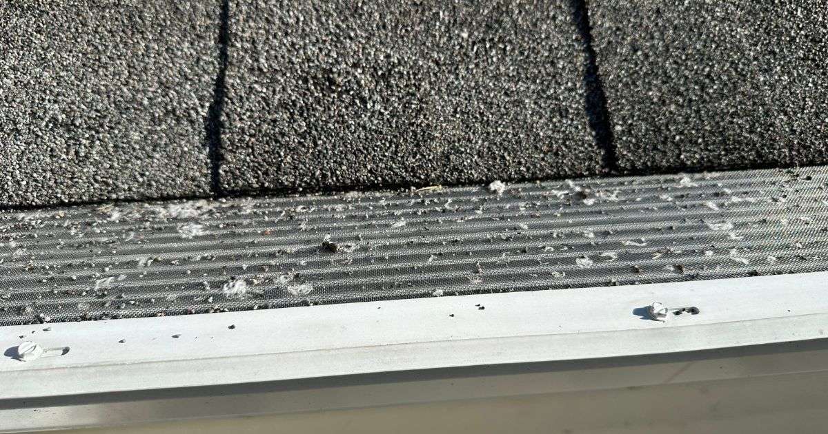 Asphalt Shingle Issues - Degranulation